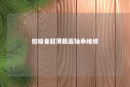 低噪音超薄截面轴承维修 