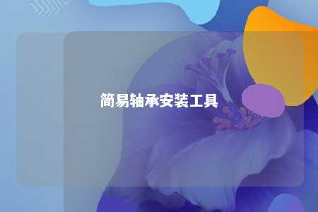 简易轴承安装工具 