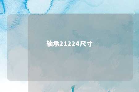 轴承21224尺寸 